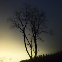 2am in Bainbridge Photoset