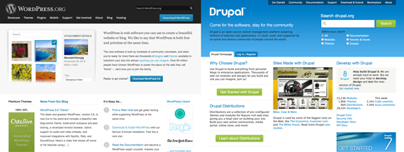 Wordpress and Drupal websites