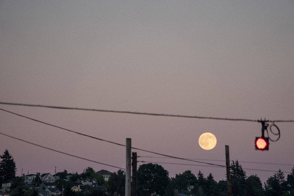The Rising Moon