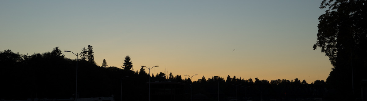 How about this sunset huh?