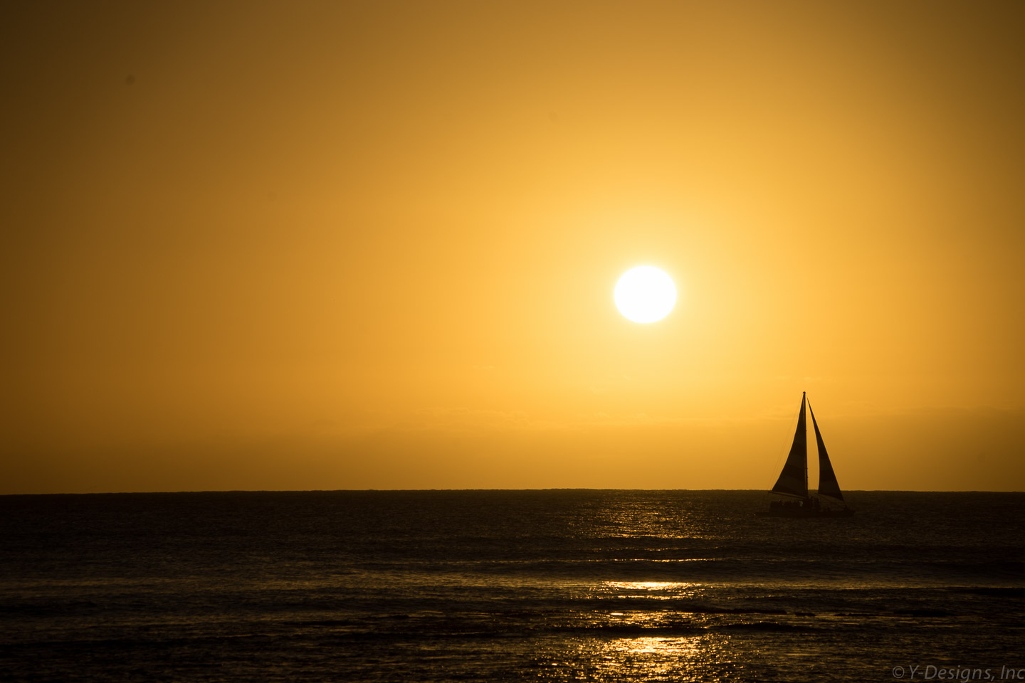Its Alway Sunny in Honolulu