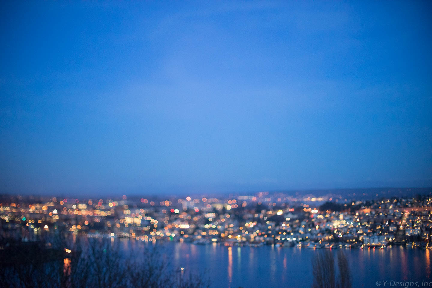 South Lake Union Views
